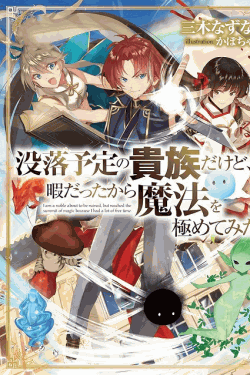 [DVD]  没落予定の貴族だけど、暇だったから魔法を極めてみた