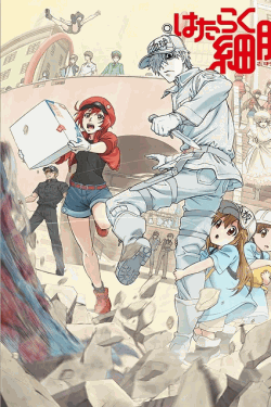 [DVD]  はたらく細胞