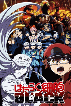[DVD]  はたらく細胞BLACK