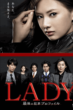 [DVD]  LADY～最後の犯罪プロファイル～