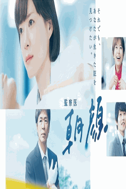 [DVD]  監察医 朝顔（2019）