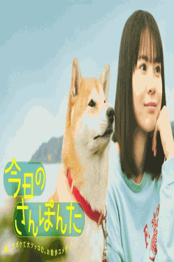 [DVD]  今日のさんぽんた