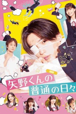 [DVD] 矢野くんの普通の日々