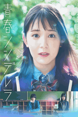 [DVD] 青春シンデレラ