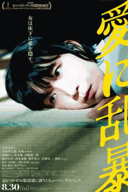 [DVD]  愛に乱暴