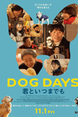 [DVD]  DOG DAYS 君といつまでも