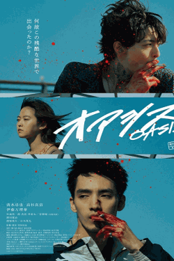 [DVD]  オアシス