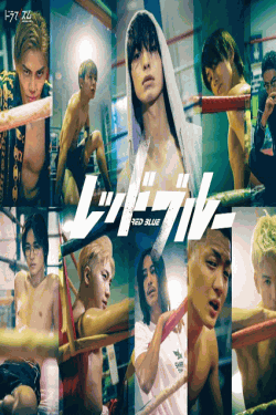 [DVD]  レッドブルー