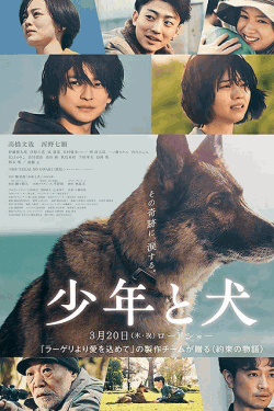 [DVD]  少年と犬