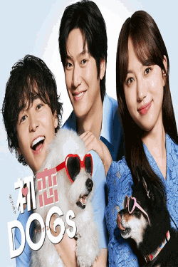 [DVD]  初恋DOGs
