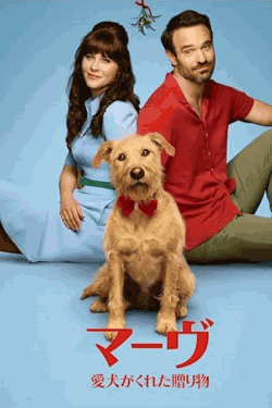 [DVD]  マーヴ ～愛犬がくれた贈り物