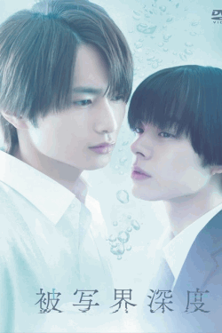 [DVD]  被写界深度
