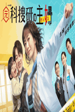 [DVD]  元科捜研の主婦