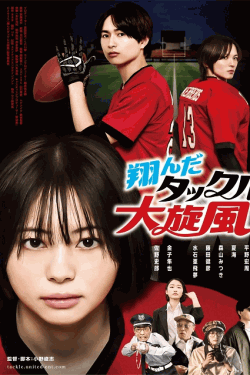 [DVD]  翔んだタックル大旋風