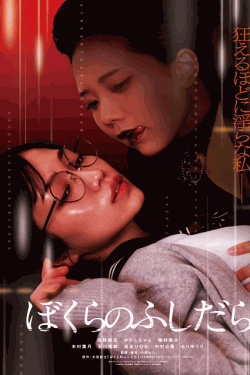 [DVD]  ぼくらのふしだら