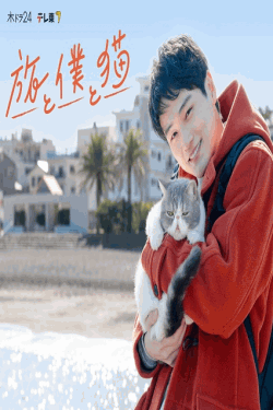 [DVD]  旅と僕と猫