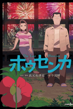 [DVD]  ホウセンカ