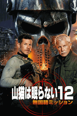 [DVD]  （字幕版）山猫は眠らない12 無国籍ミッション