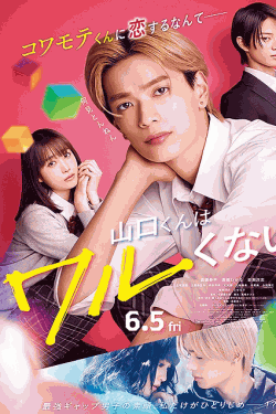[DVD]  山口くんはワルくない