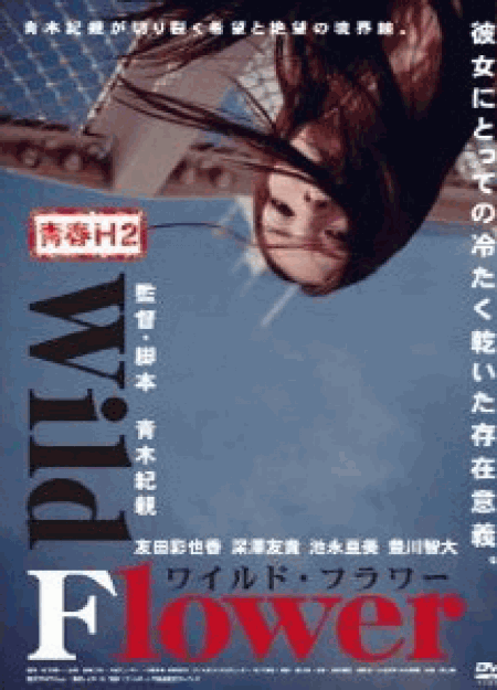 [DVD] 青春H2 Wild Flower ワイルド・フラワー