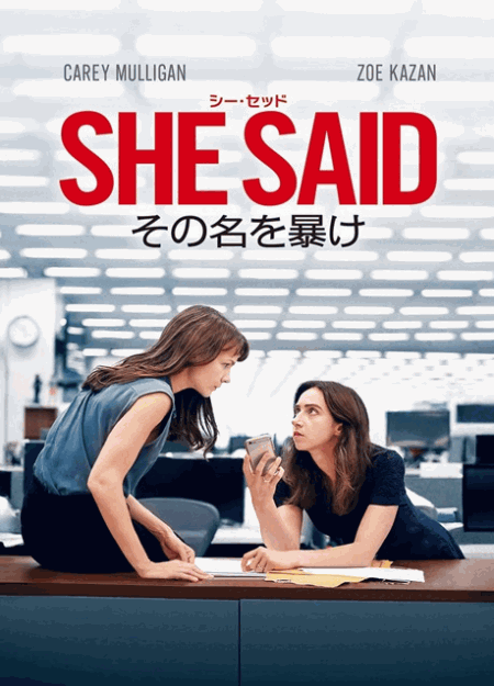 [DVD] SHE SAID/シー・セッド その名を暴け