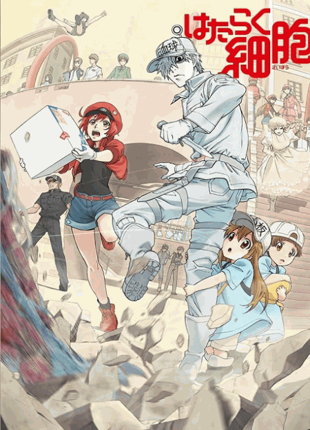 [DVD]  はたらく細胞