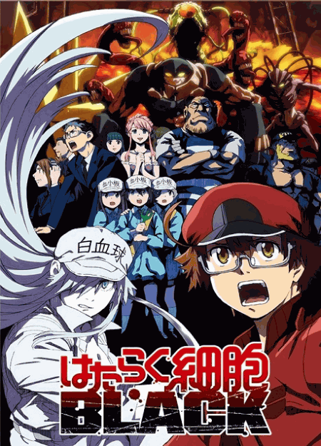 [DVD]  はたらく細胞BLACK