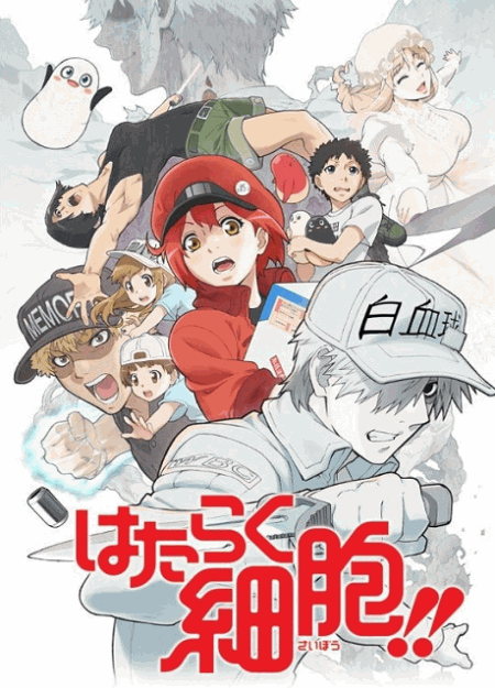 [DVD]  はたらく細胞!!