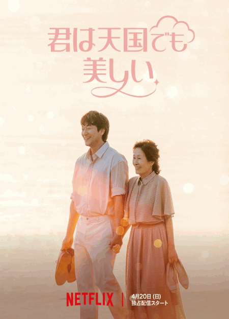 [DVD]  君は天国でも美しい
