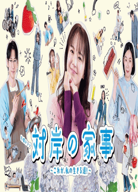 [DVD]  対岸の家事～これが、私の生きる道！～
