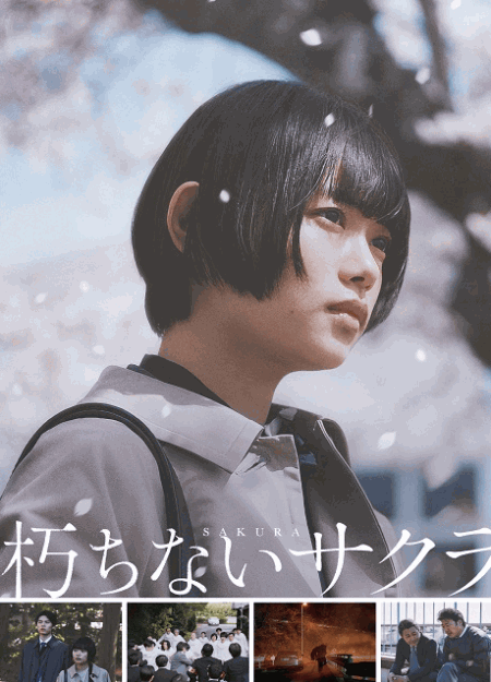 [DVD] 朽ちないサクラ