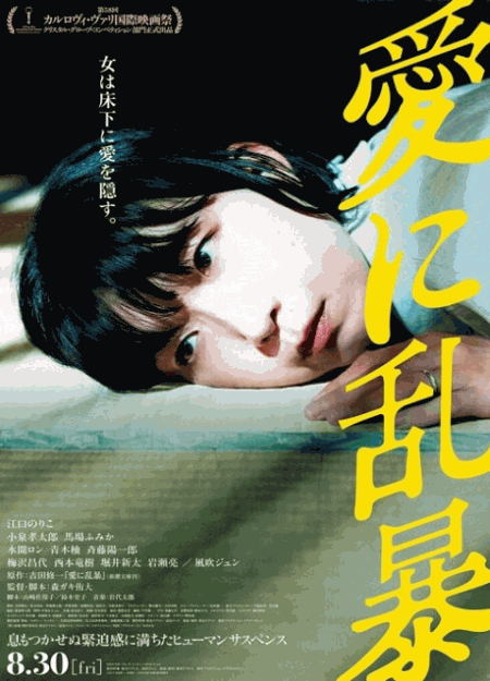 [DVD]  愛に乱暴
