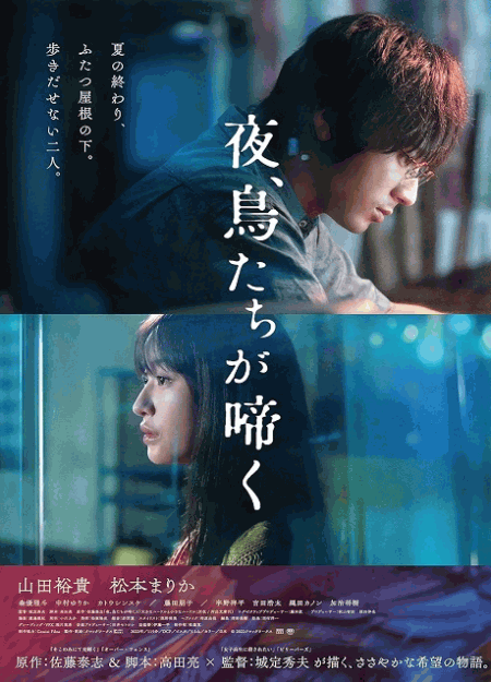 [DVD]  夜、鳥たちが啼く