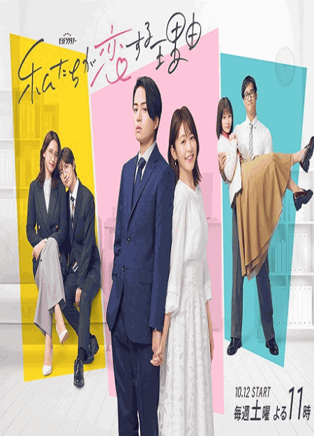 [DVD]  私たちが恋する理由