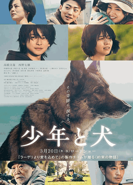 [DVD]  少年と犬