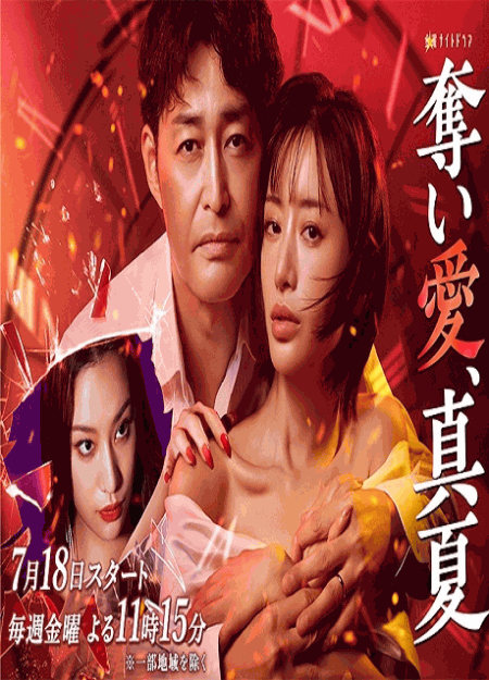 [DVD]  奪い愛、真夏