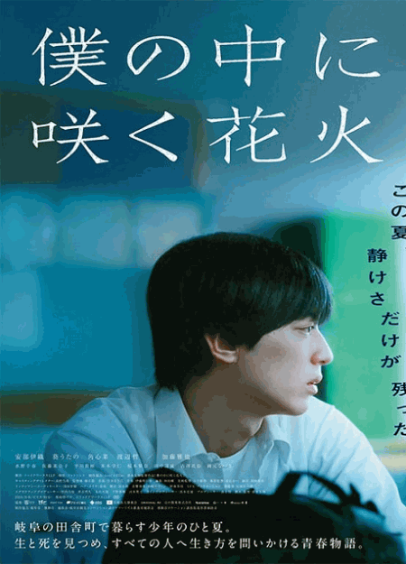 [DVD]  僕の中に咲く花火