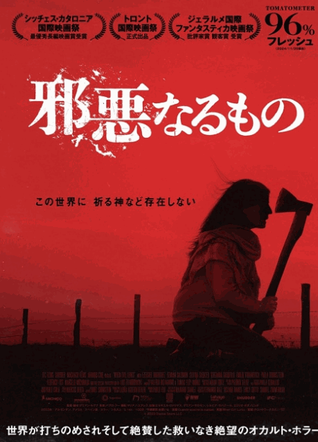 [DVD]  邪悪なるもの