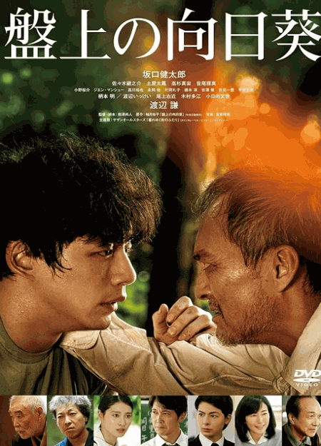 [DVD]  盤上の向日葵