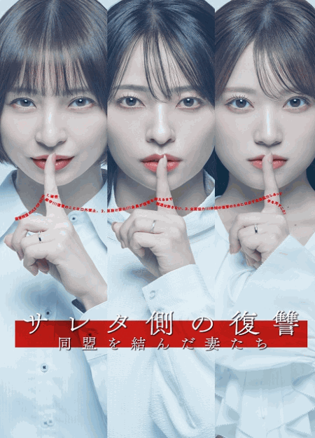 [DVD]  サレタ側の復讐〜同盟を結んだ妻たち〜