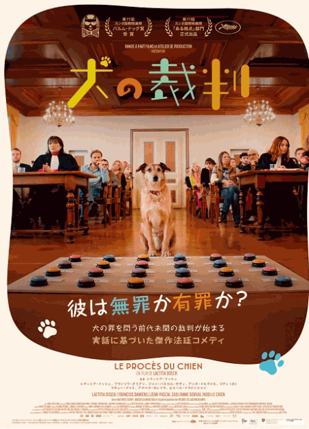 [DVD]  犬の裁判