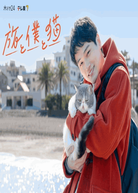 [DVD]  旅と僕と猫