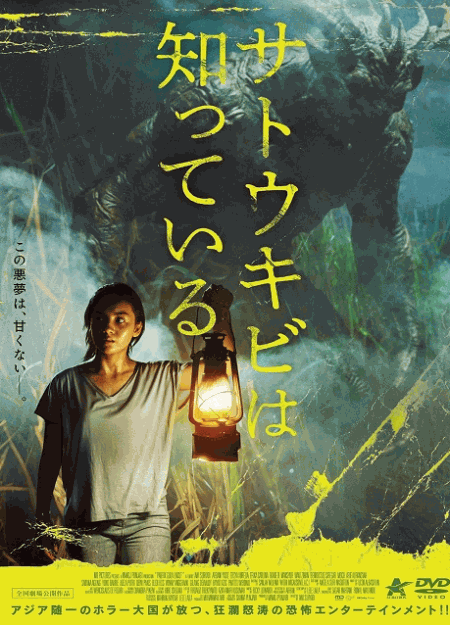 [DVD]  サトウキビは知っている